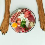 Understanding the Surge in Raw Dog Food Diets and What Vets Recommend Instead